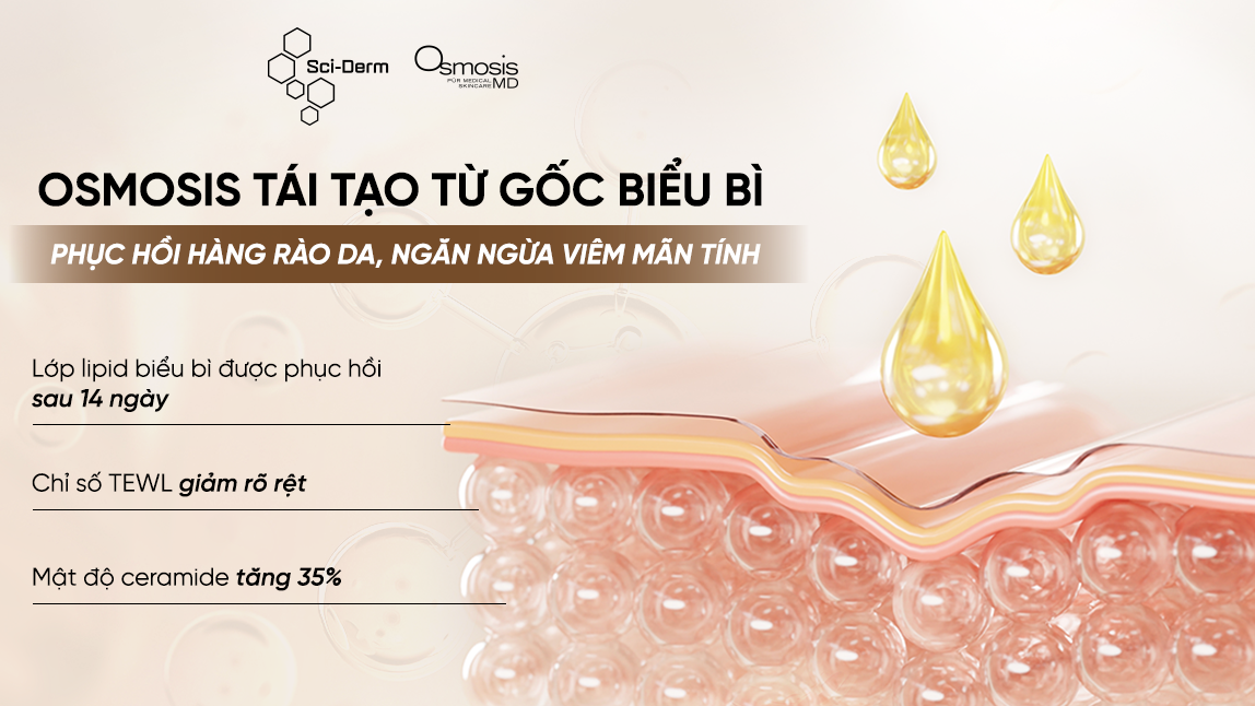 1762139779_HNDL-POSTER-4