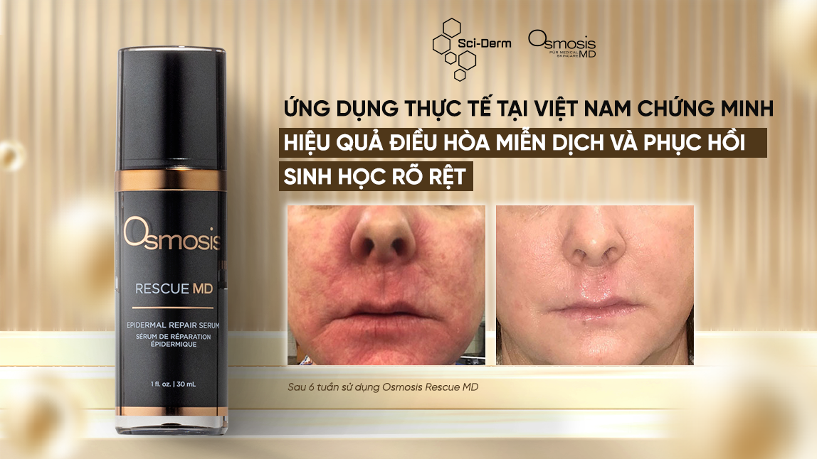 1762139884_HNDL-POSTER-5