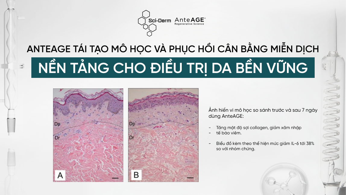 AnteAGE - Hội nghị da liễu toàn quốc